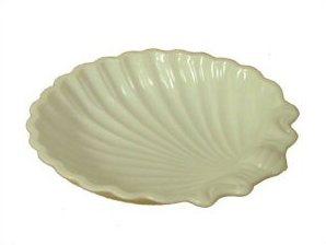 Scallop Sea Shell