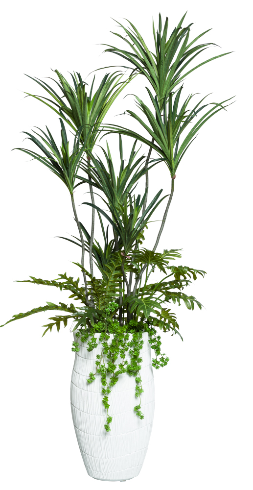 Faux Dracena Combo