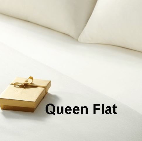 Queen Flat Sheet - Pack of 12