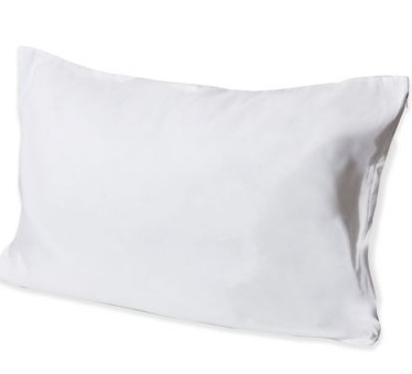 AquaRepel Zip Pillow Protector - Pack of 2